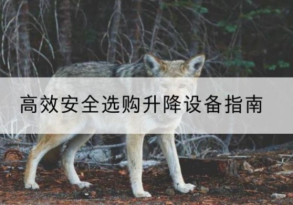 大兴安岭升降货梯厂家推荐-*安全选购升降设备指南