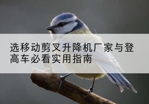 大兴安岭电动升降机厂家-选移动剪叉升降机厂家与登高车必看实用指南